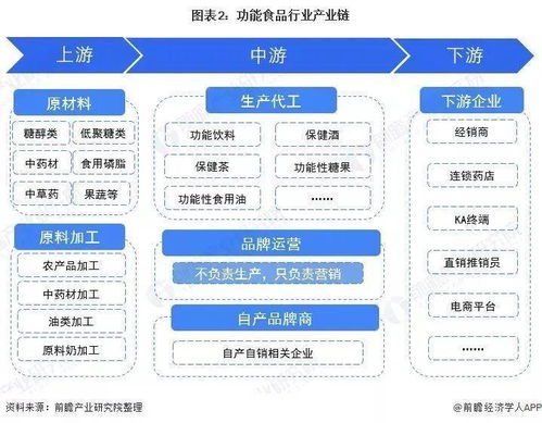 前沿解析 網(wǎng)絡(luò)技術(shù)開(kāi)發(fā)賦能2022年中國(guó)功能食品行業(yè)發(fā)展前景